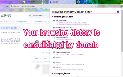 BrowseByDomain [History]  from Chrome web store to be run with OffiDocs Chromium online